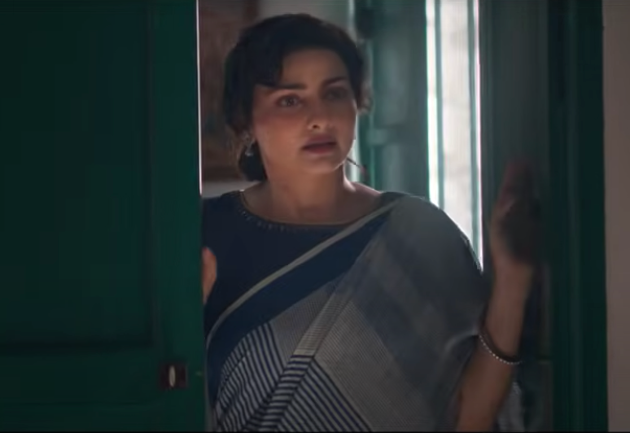Indigo Micro Macro Saree