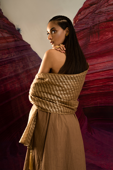 Aurum Shock Brown Muddy Zari dupatta
