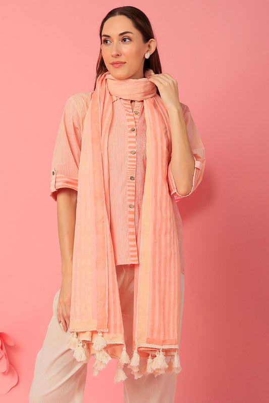 Blush Pink Striped Clove Dupatta